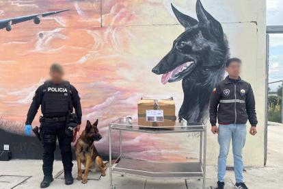 Operativo. En el operativo se encontró la droga camuflada en paquetes.