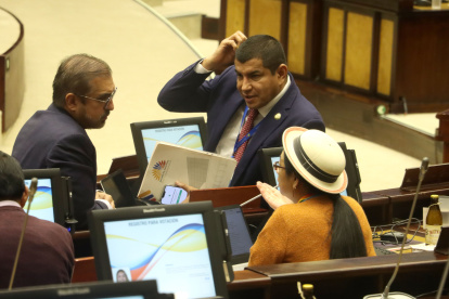 96 de los 137 asambleístas buscarán la reelección en 2025.