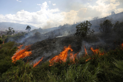 Uno de los incendios forestales que afectaron este 2024, a Colombia. El de la foto corresponde al de Medellín, en febrero pasado.