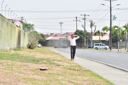 Sombra. Ante la escasez de árboles, la ciudadanía no cuenta con suficientes puntos para refugiarse del sol.
