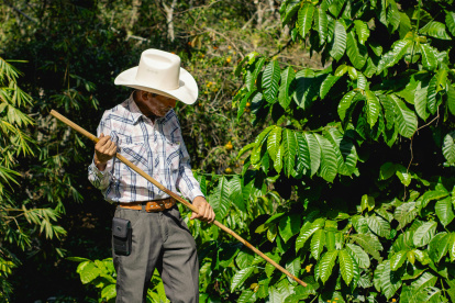 ONG se dedica a mejorar la producción de los pueblos indígenas.