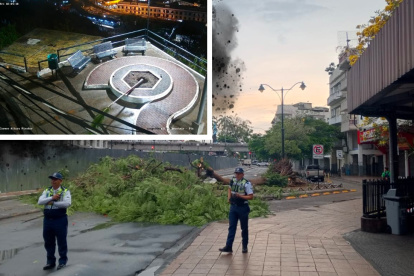 En las últimas horas se han reportado estos sucesos.