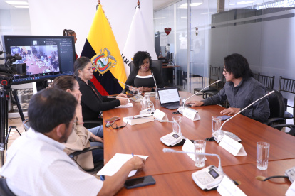 La correísta Paola Cabezas preside la mesa de Garantías Constitucionales.