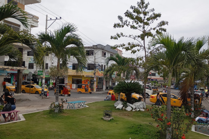 Vista. Embellecen el área urbana con plantas maderables.