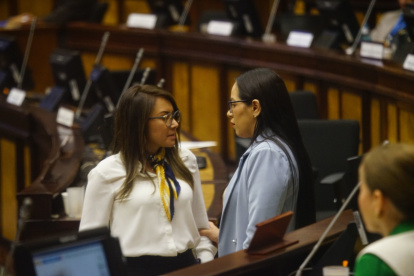 El 19 de enero de 2025 terminará el receso legislativo.