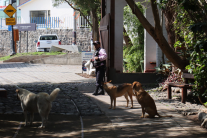En uno de los accesos a El Chaquiñán hay seguridad privada.
