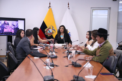 La correísta Gissela Garzón preside la comisión ocasional.