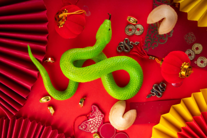 El 2025 es el año de la serpiente de madera.