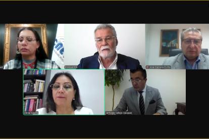 El Consejo Nacional Electoral sesionó de manera virtual.