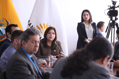 La oficialista Inés Alarcón preside la mesa de Seguirdad.