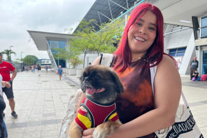 Las personas llevan a sus familiares de cuatro patas a sus viajes