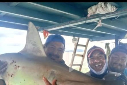 El Parque Nacional Galápagos denunció a unos pescadores exhiben a un tiburon martillo
