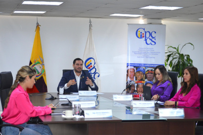 Andrés Fantoni preside el Pleno del Consejo de Participación.