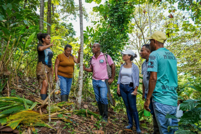 Vista. Caimito es un rincón mágico en el sur de Esmeraldas, donde sus guías cuentan historia y tradiciones.