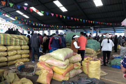 Los migrantes extranjeros son empleados en las plazas del cantón Salcedo.