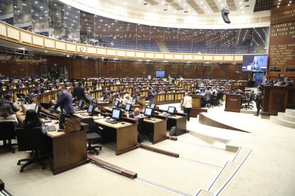 El Pleno de la Asamblea sesionó de forma virtual este 4 de enero de 2025.