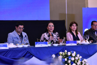 El CNE habló de las infracciones en campaña electoral.