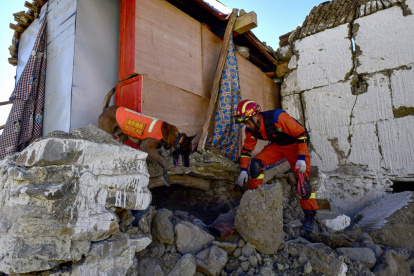 Un rescatista busca sobrevivientes en una casa con un perro de rescate después de un terremoto en el municipio de Cuoguo en Shigatse, región del Tíbet, suroeste de China, el 8 de enero de 2025.