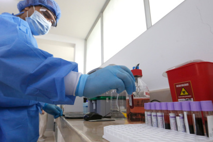 El laboratorio estaría listo en unos seis meses.