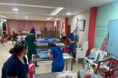 A través de alianzas estratégicas, se promueven prácticas sostenibles.