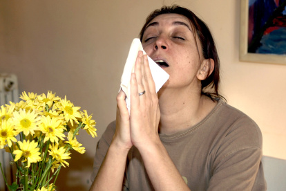 Un simulador de estornudos revela el papel de la cavidad nasal en la difusión de aerosoles