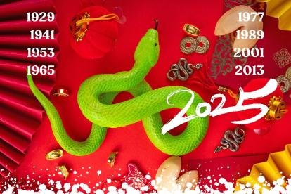 La serpiente de madera.