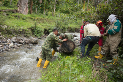 Labor. Militares también participan de la limpieza.