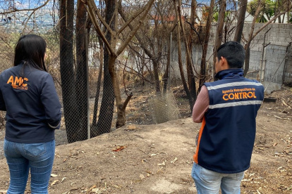 Imagen referencial. Funcionarios de la AMC inspeccionaron el predio, tras la denuncia de un crematorio clandestino de mascotas.