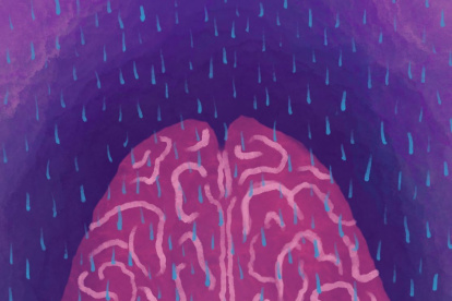 Imagen cedida. La vasomoción lenta mediada por la noradrenalina impulsa el aclaramiento glinfático durante el sueño.