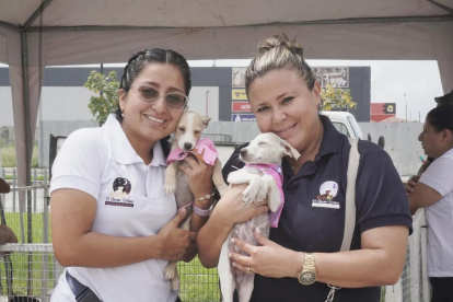 Existen proyectos en marcha de esterilización  y educación para ciudadanos.