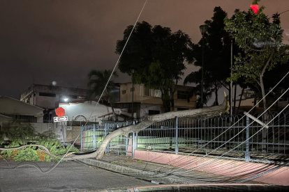 Situación. El corte de energía se originó por la caída de un árbol.