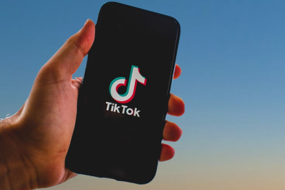 El CNE y Tik Tok desarrollaron la guía para las elecciones 2025.