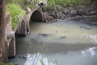 Así permanece actualmente el canal de aguas lluvias que divide a Urbanor 1 con la Alborada. Las aguas son grises y espesas.