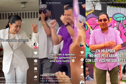 Captura de pantalla de videos compartidos en redes sociales de candidatos, en este 2025.