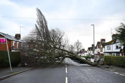 Belfast. Un árbol caído en una calle de la capital de Irlanda del Norte.