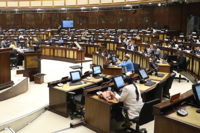 La Asamblea Nacional sesionará de forma virtual el 26 de enero par tratar el proyecto urgente de Daniel Noboa, enfocado en las mujeres emprendedoras..