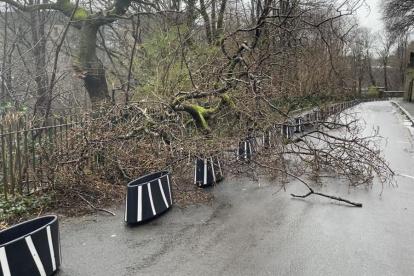 La borrasca Éowyn ha dejado en Escocia 100.000 hogares sin electricidad, el 92 % de las escuelas cerradas y múltiples servicios médicos no urgentes cancelados.