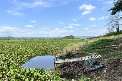 Destruido. Antes, en esta zona, los visitantes realizaban actividades acuáticas, como canotaje, kayak, paddle y tabla a vela. Ahora es imposible. Allí habitan peces como: tilapia, bocachico.