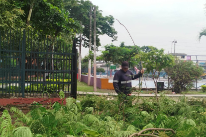 En el Parque Puerto Liza han empezado a retirar la maleza que, en algunos casos, superaba el metro y medio de altura.