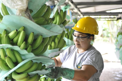Las exportaciones tuvieron un ligero crecimiento en 2024 frente a 2023.