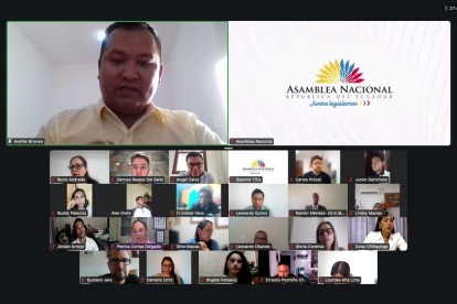 La sesión del Pleno de la Asamblea se realizó de forma virtual