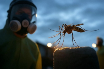 Ilustración referencial. Se realizarán labores de fumigación contra mosquitos en Guayaquil.