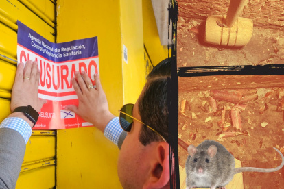 Así permanecían las instalaciones del lugar: un ratón muerto junto a las patas de cangrejo.