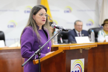 La vocal del CNE, Elena Nájera, cuestiona a Enrique Pita sobre los supuestos expedientes.