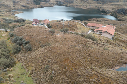 Hecho. Tras el incendio de noviembre pasado mucha vegetación quedó afectada.