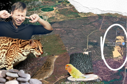 El principal impacto del Aeropuerto, es en materia ambiental.