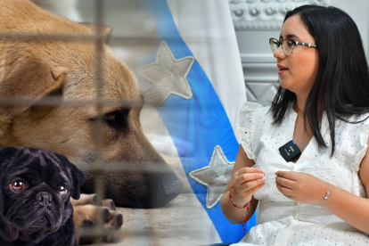 Ilustración referencial. La vicealcaldesa de Guayaquil se refirió a los servicios para el cuidado de animales.