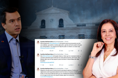 Daniel Noboa ha encargado durante este mes de enero en cuatro ocasiones a Cynthia Gellibert como su reemplazo temporal en la Presidencia de la República.