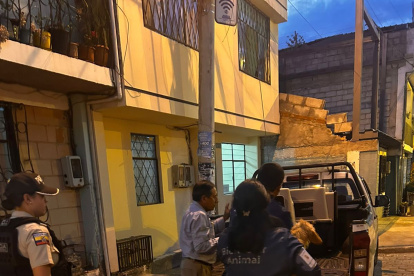 Los dos animales fueron rescatados y el dueño enfrenta una sanción.