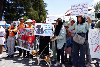 En Quito animalistas y ciudadanía realizaron una marcha para exigir que se archive el proyecto del ley LODA